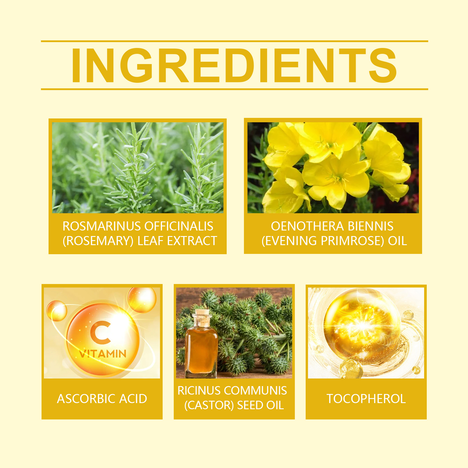Woodsleep Evening Primrose Care Oil Hair Care Hair Care Oil - Image 5